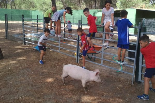 Campamento Cervantes (1)