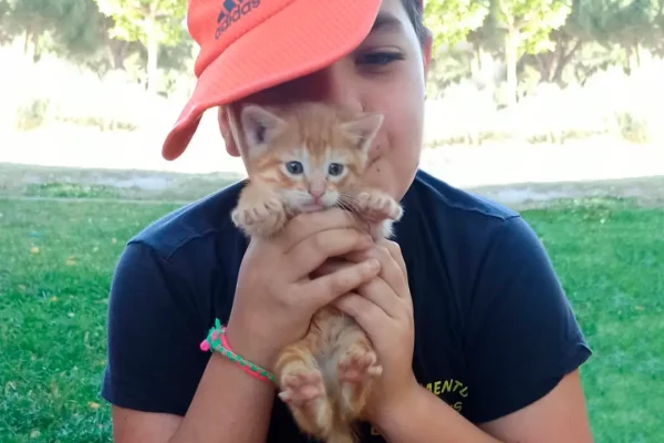 Campamento Cervantes (11)