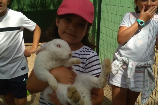 Campamento Cervantes (12)