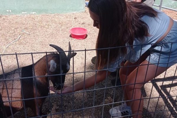 Campamento Cervantes (17)