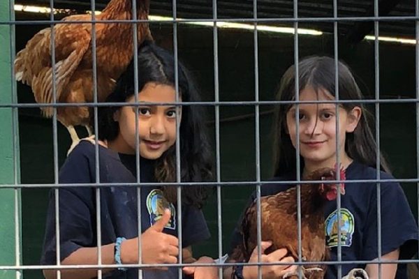 Campamento Cervantes (24)