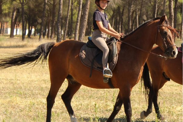 Campamento Cervantes (25)