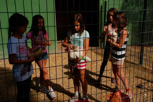 Campamento Cervantes (7)