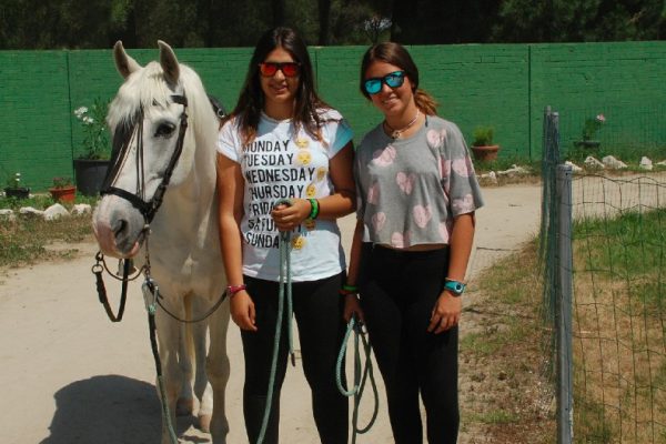 Campamento Cervantes (9)