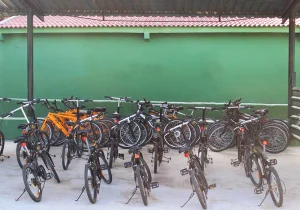 Bicis Campamento