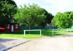 Pradera Campamento
